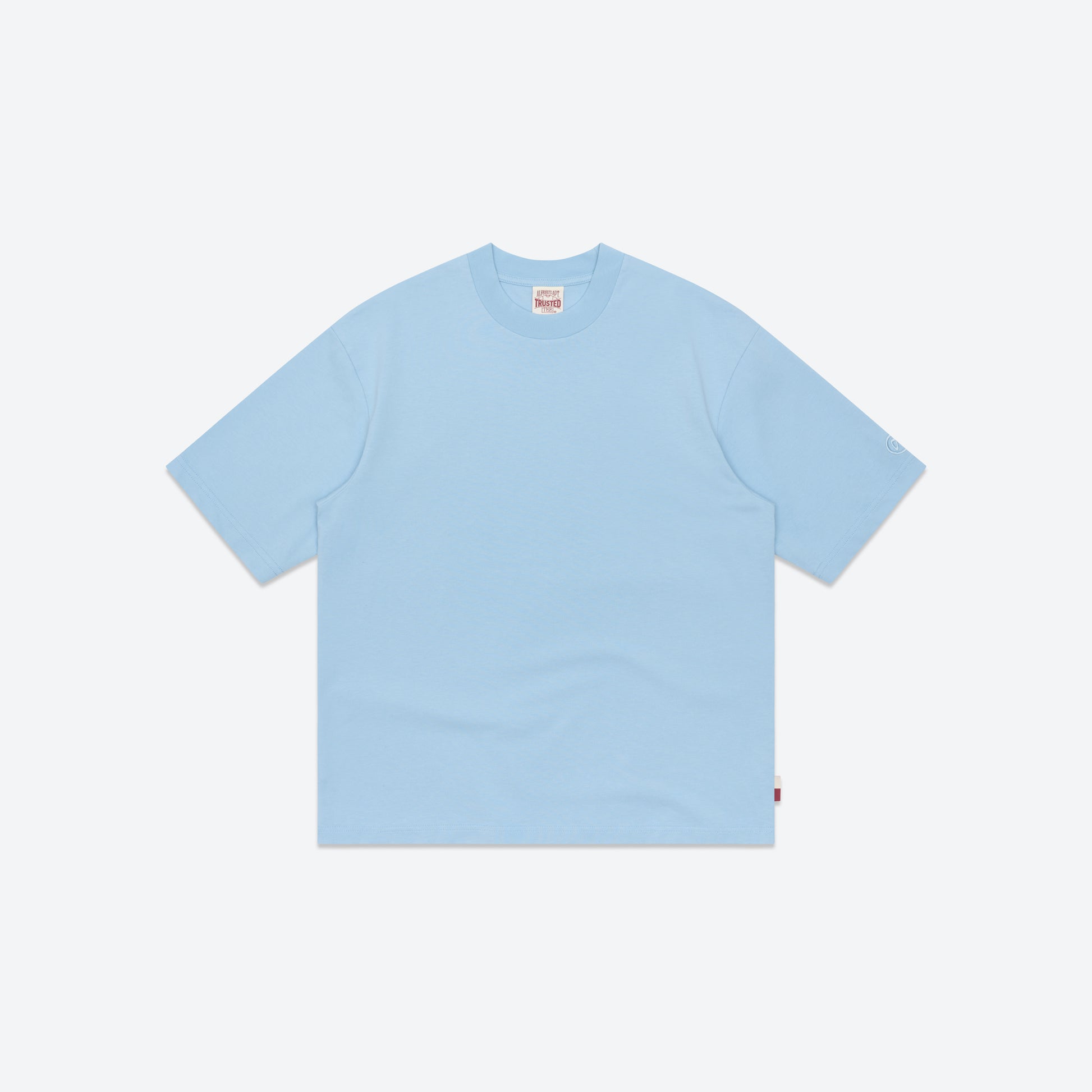 Trusted Tee 2.0 - Powder