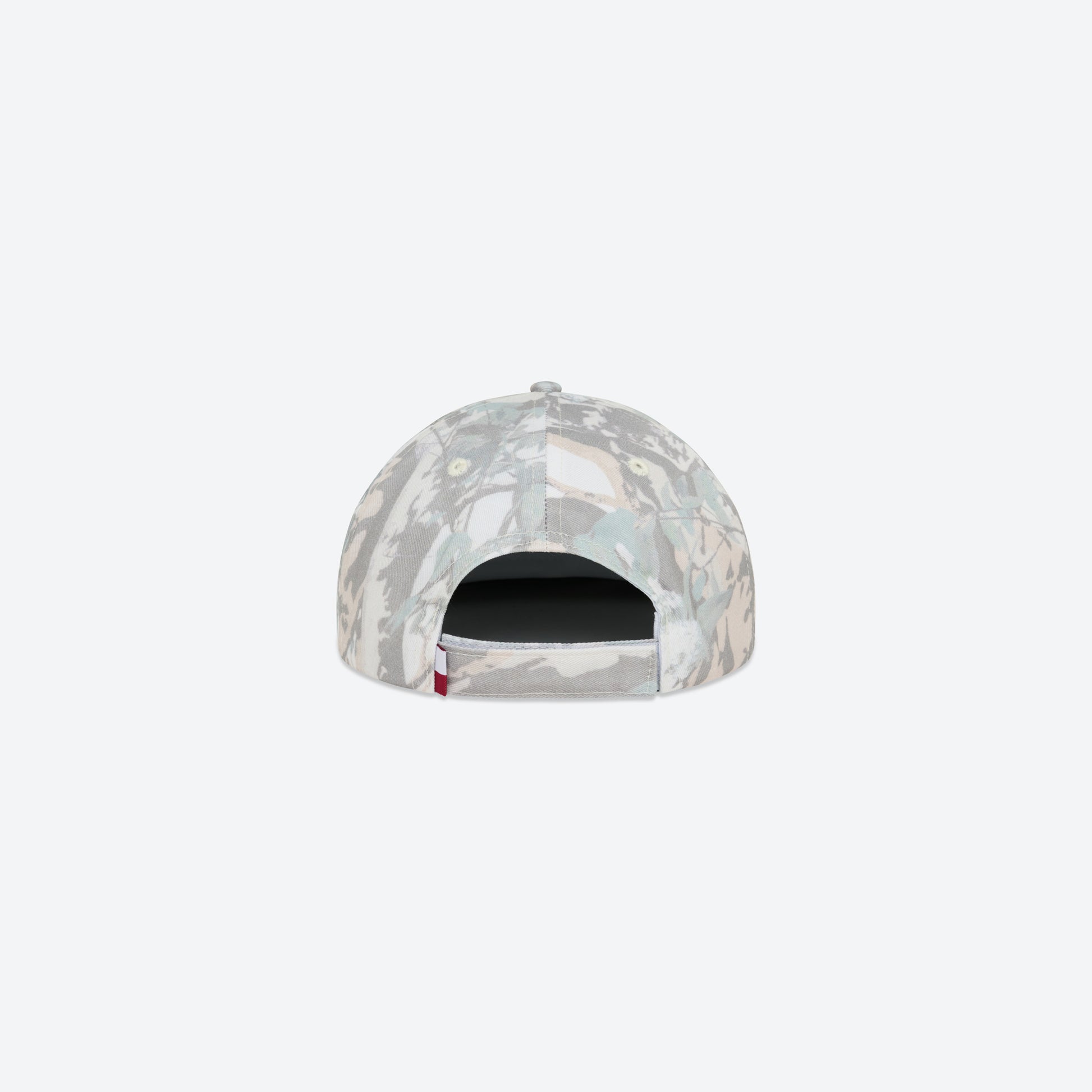 Apartment OG Cap - Native