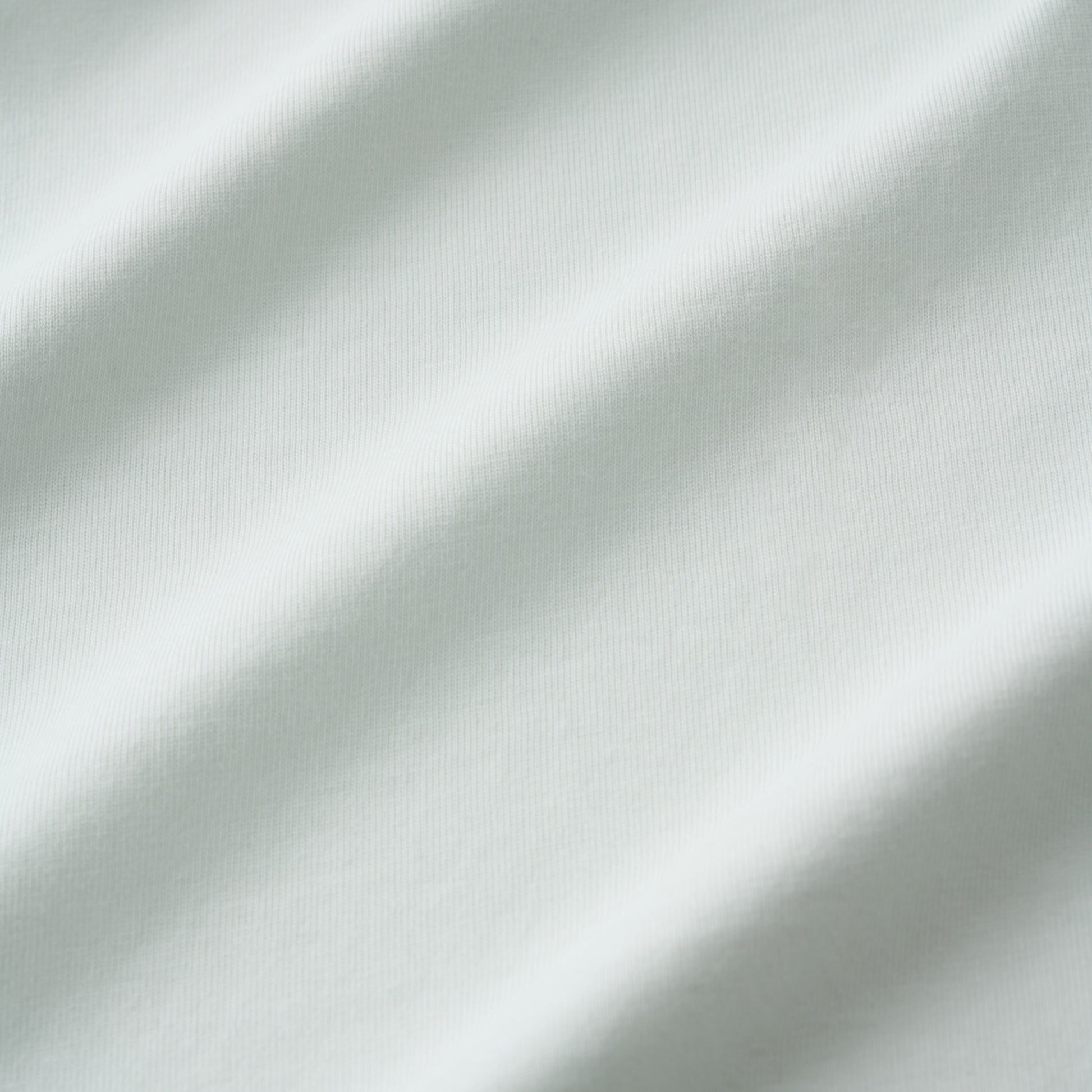 Standard Tee - Coconut