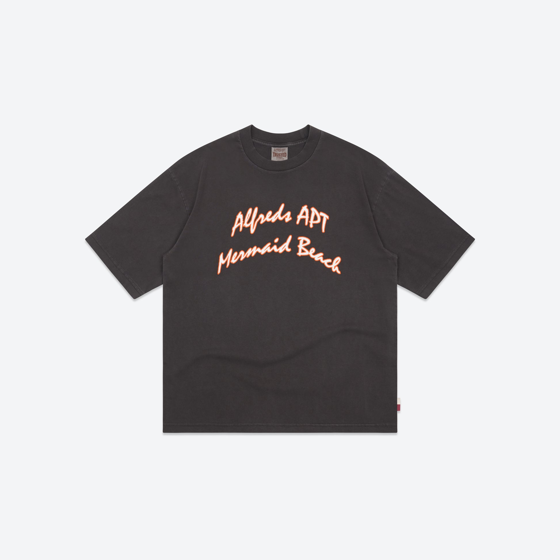 Sunshine State Tee - Washed Black