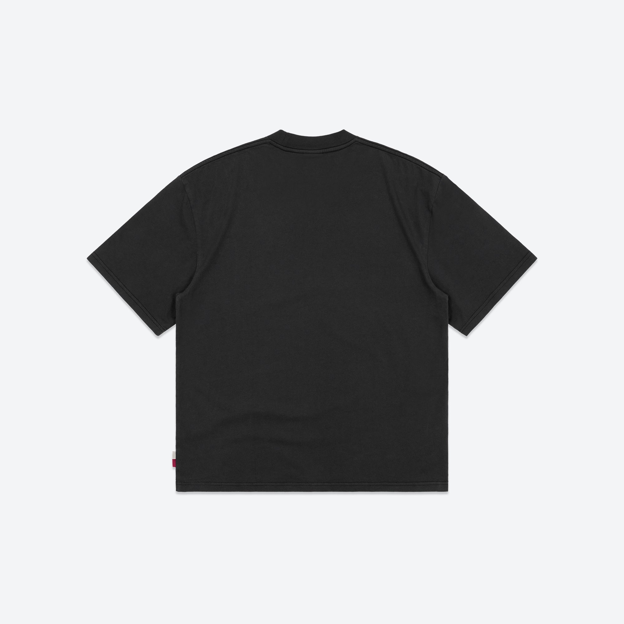 Alfred's Apartment - Paradise Tee - Washed Black