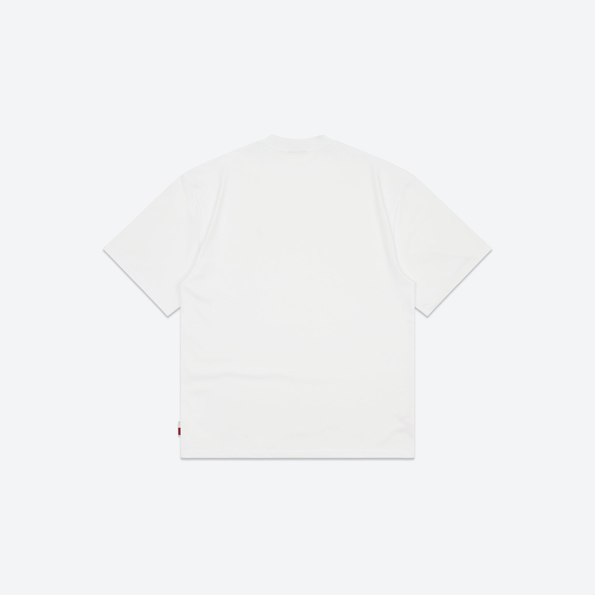 Guide Tee - White